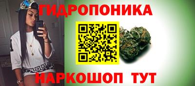 стаф Жуковский