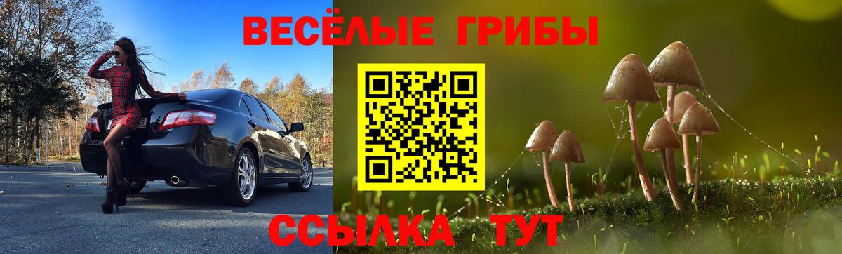 Псилоцибиновые грибы MAGIC MUSHROOMS Гагарин